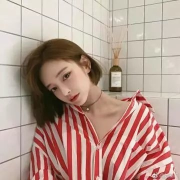 明月守护者 海报